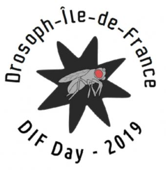 DIF Day 2019