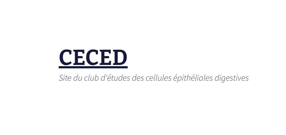 Logo CECED