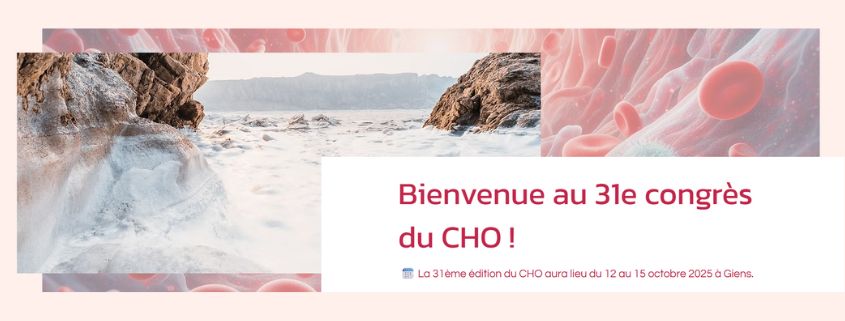 vignette 31 CHO