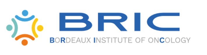 Logo BRIC